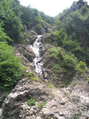 点击新窗口翻开大图