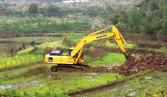点击新窗口翻开大图