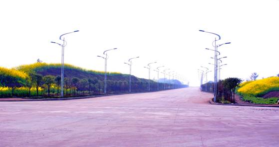 点击新窗口翻开大图