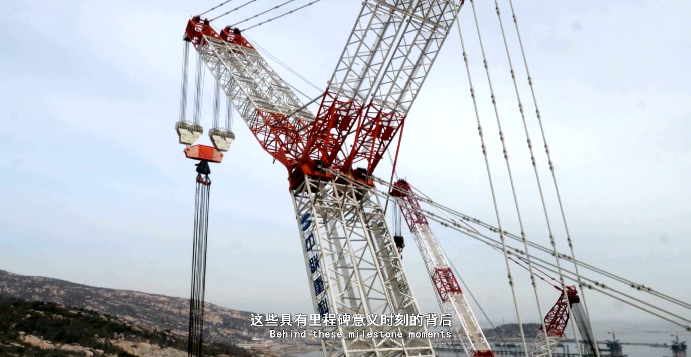 Z6人生就是博沉科